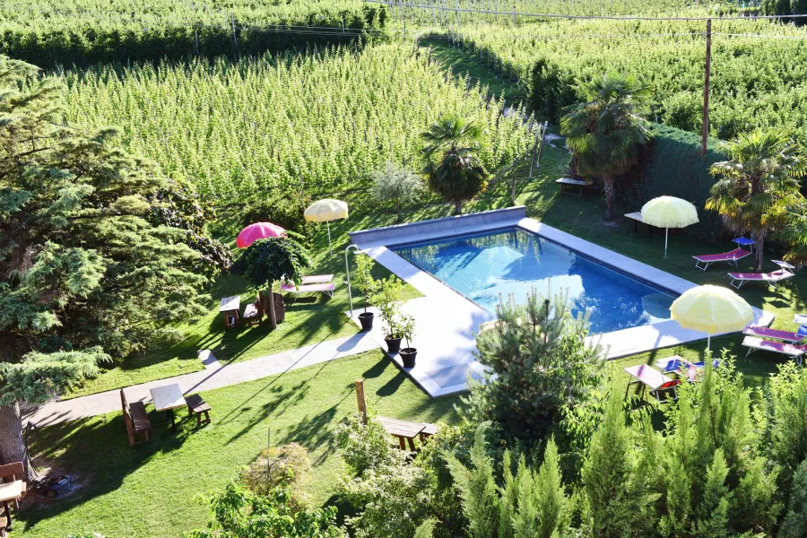 Summer emotions in our apartments 